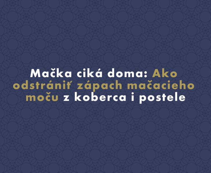 Mačka ciká doma: Ako odstrániť zápach mačacieho moču z koberca i postele