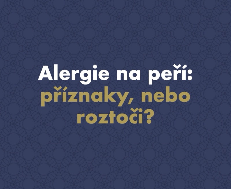 Alergie na peří: příznaky, nebo se za ní skrývají roztoči?