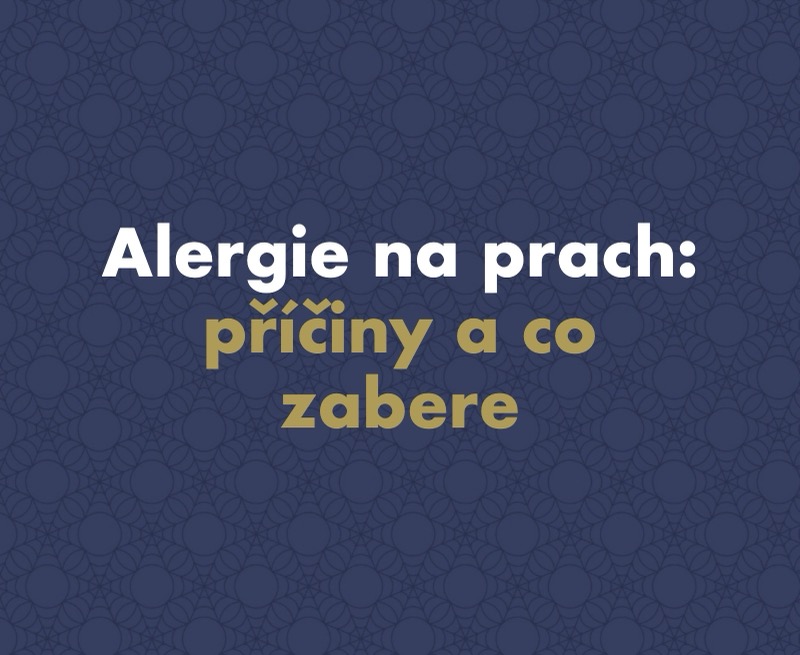 Alergie na prach: příznaky, příčiny a co s ní doopravdy zabere