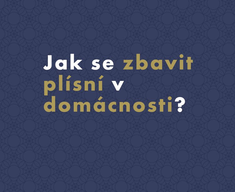 Jak se zbavit plísně: Jak odstranit plíseň nejen ze zdi