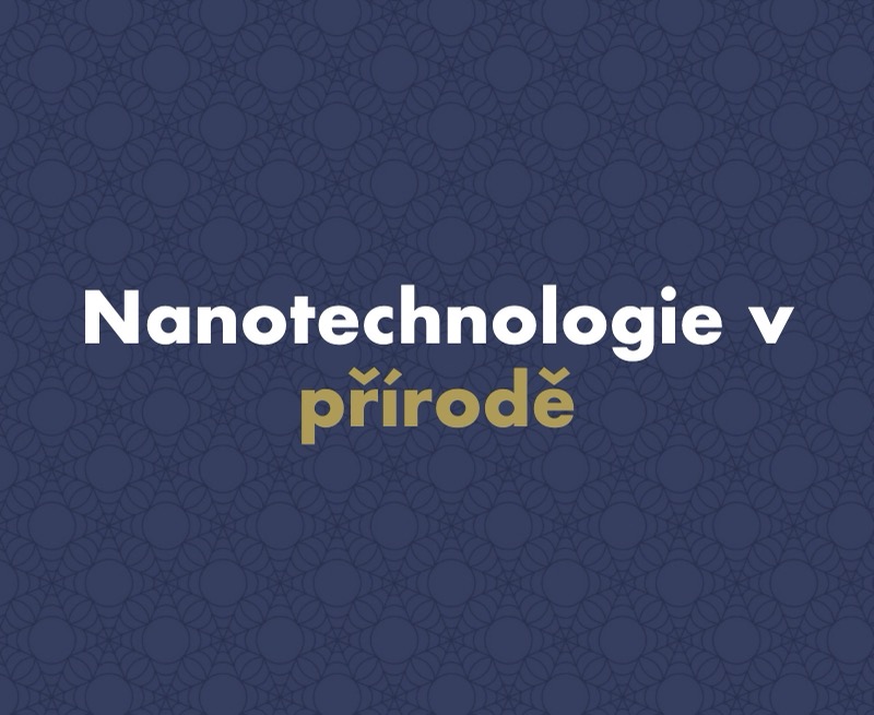 Co jsou nanotechnologie a kde se s nimi v přírodě setkáme