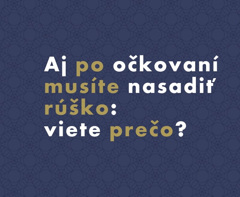 Aj po očkovaní musíte nasadiť rúško - viete prečo?