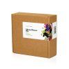 Vibrant Flower Mix 9 pack1200x1200 1200x