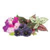 Vibrant Flower Mix 1280x960 1200x