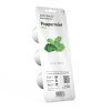 Peppermint 3pack whitebg 34a530ba ba53 4651 957f 3a4726389d5c 1200x