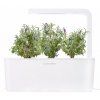 SHG lavender1 f54d41e4 12eb 4245 aa6c e1d851dec5b1