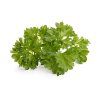Parsley plant 1200x960 7af89aca c111 40d3 8df0 b27e0f6fe54d 1200x