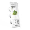 Romaine Lettuce 3pack whitebg 1200x